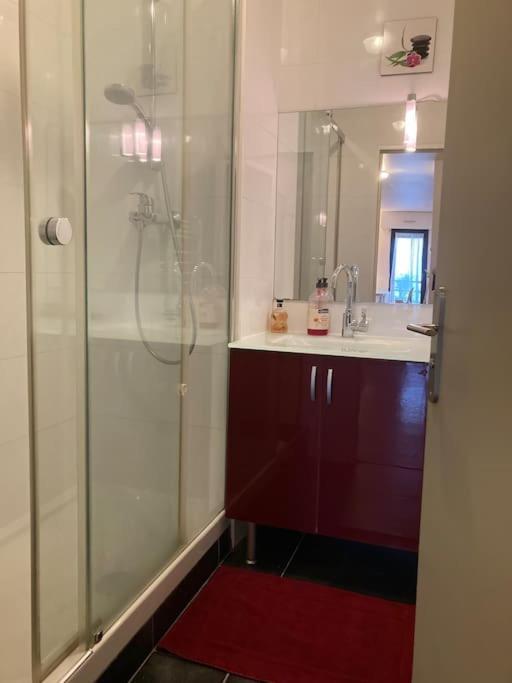 T3 - 62m2 - Parking Prive - Metro Apartment Toulouse